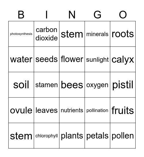 Plants! Bingo Card