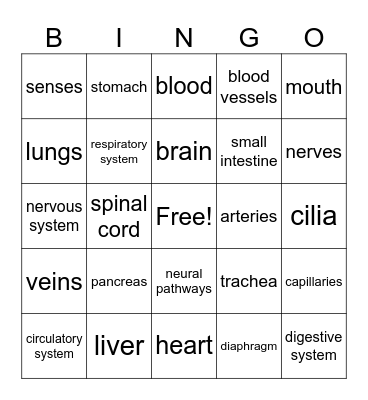 HOSA in the middle Bingo Card