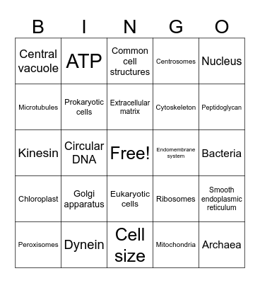 Bio Ch 4 Bingo Card