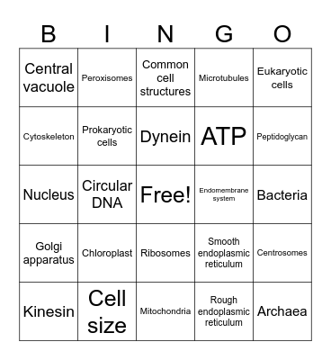 Bio Ch 4 Bingo Card
