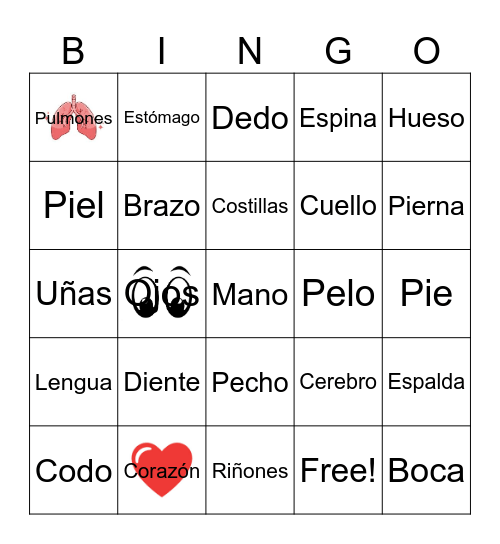 Anatomy Bingo 3 Bingo Card