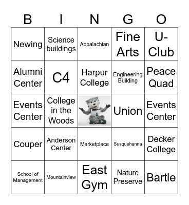 BINGO-HAMTON: Bonus Round Bingo Card