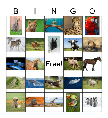 Spanish Animals Bingo Card