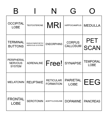 Psychology Bingo Card