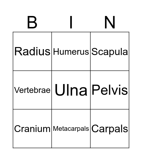 Skeleton Bingo Card