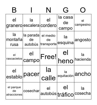 ASDII Ch8 Ciudad y Campo Bingo Card