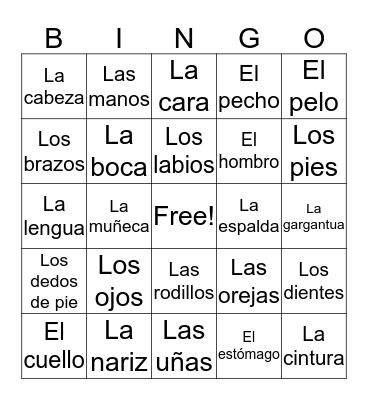 Las Partes del Cuerpo Bingo Card