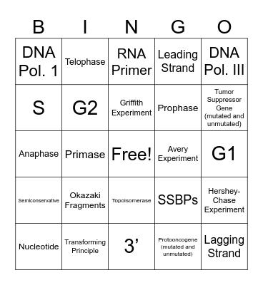 DNA Replication and Cell Cycle BINGO Card