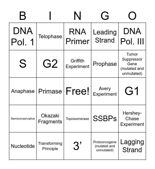 DNA Replication and Cell Cycle BINGO Card