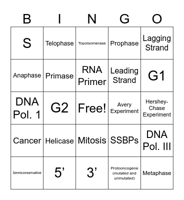 DNA Replication and Cell Cycle BINGO Card