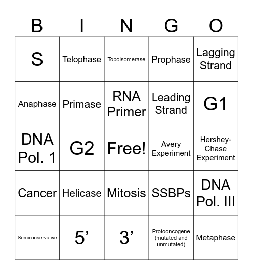 DNA Replication and Cell Cycle BINGO Card