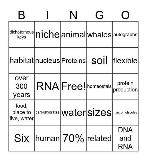 Bingo 6th Science Ch.11 Bingo Card