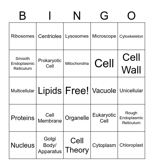 Cell Organelle and Functions Bingo Card