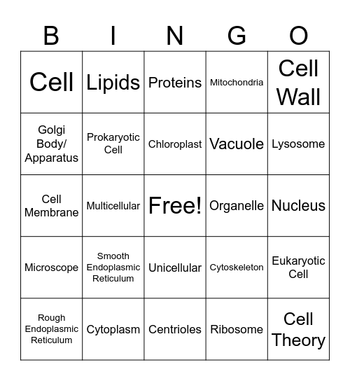 Cell Organelle and Function Bingo Card