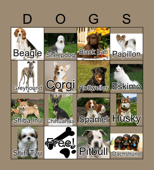 DOG BINGO Card