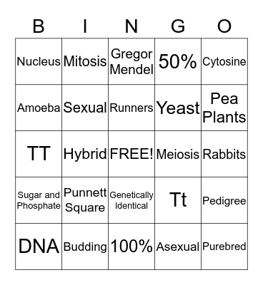 GENETICS Bingo Card