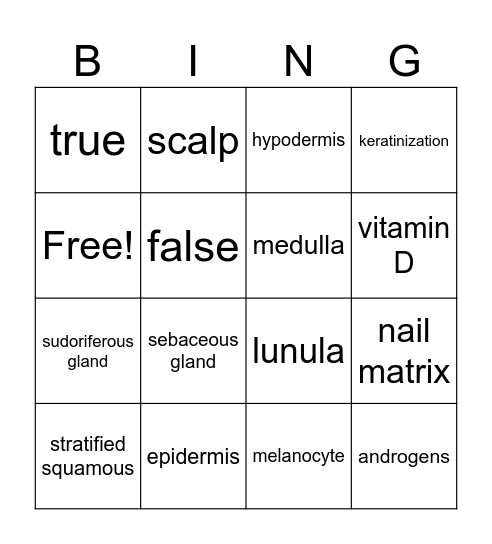integumentary Bingo Card