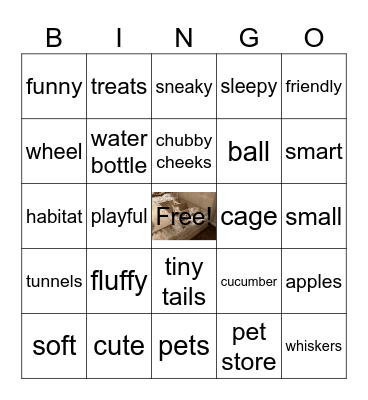 Hamster Bingo Card