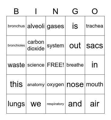 Respiratory System Bingo Card