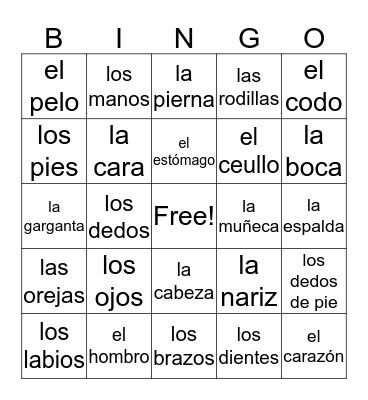 Las Partes del Cuerpo Bingo Card