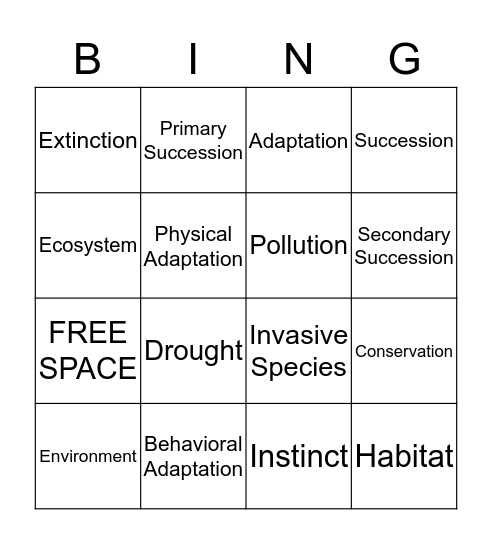 Adaptation Bingo Card