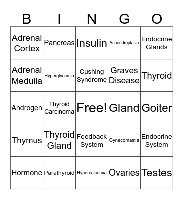 Endocrine Bingo Card