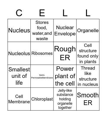 Cells Bingo Card