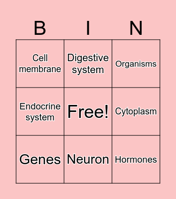 Digestive System Bingo Card