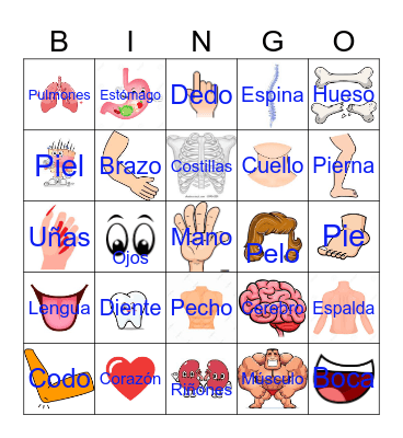 Loteria Anatomia Bingo Card