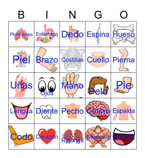 Loteria Anatomia Bingo Card