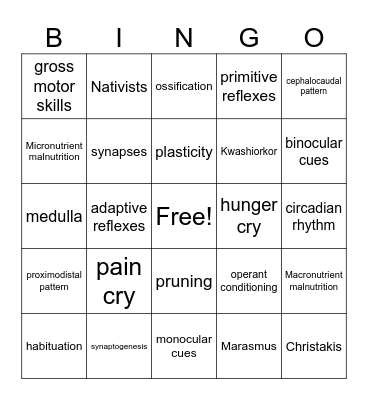 Ch. 4 Physical, Sensory, & Perceptual Development in Infancy Bingo Card