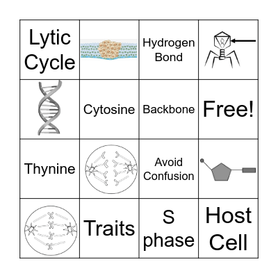 Review Bingo Card