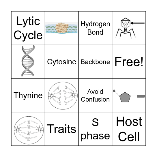 Review Bingo Card