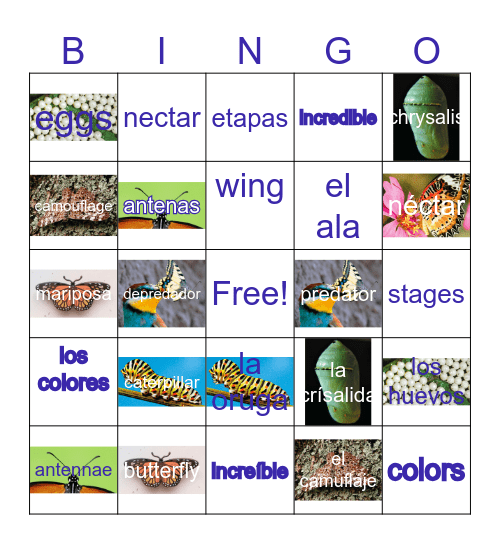 Butterflies! Bingo Card