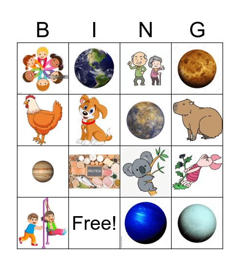 S C I E N C E    B I N G O Bingo Card