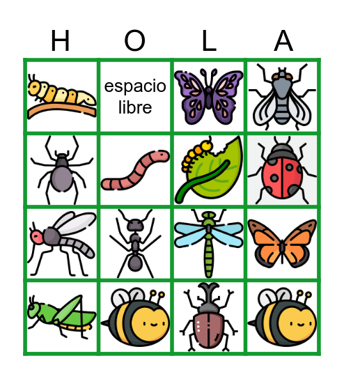 Insectos Bingo Card