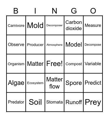 Ecosystem Vocabulary Bingo Card