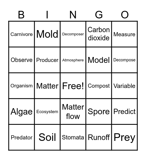 Ecosystem Vocabulary Bingo Card