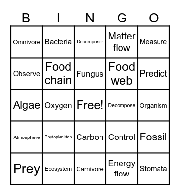 Ecosystem Vocabulary Bingo Card