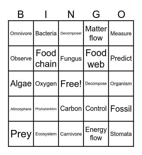 Ecosystem Vocabulary Bingo Card