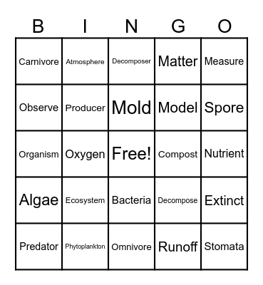 Ecosystem Vocabulary Bingo Card