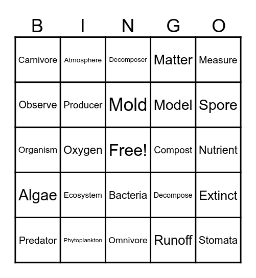 Ecosystem Vocabulary Bingo Card