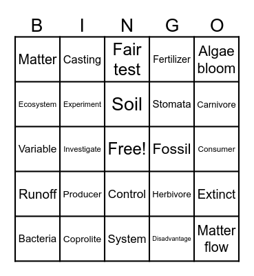 Ecosystem Vocabulary Bingo Card