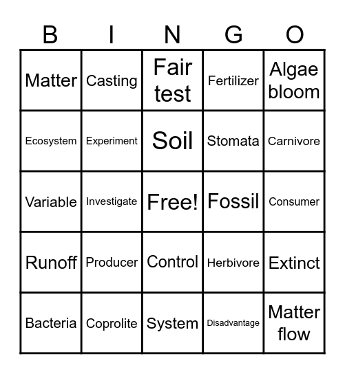 Ecosystem Vocabulary Bingo Card