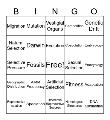 Evolution Bingo Card