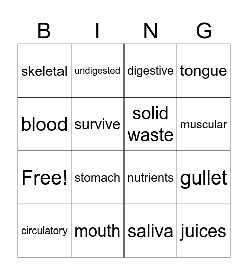 human systems Bingo Card