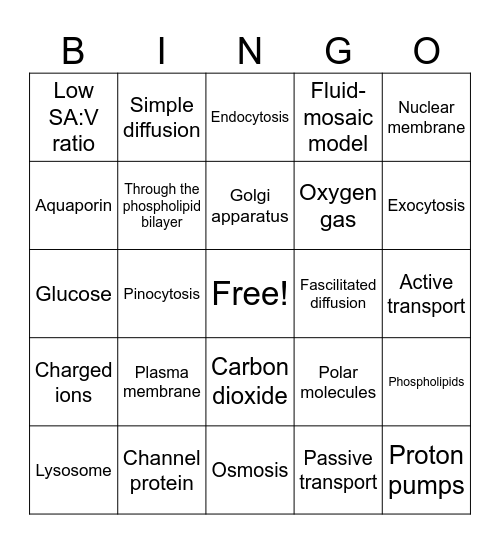 Unit 1- Plasma membrane Bingo Card