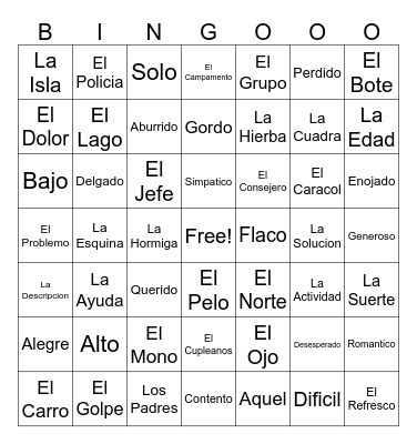 Leccion 14, 15, 16 - Nouns, Adjectives Bingo Card