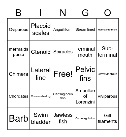 Marine Fishes Bingo Card