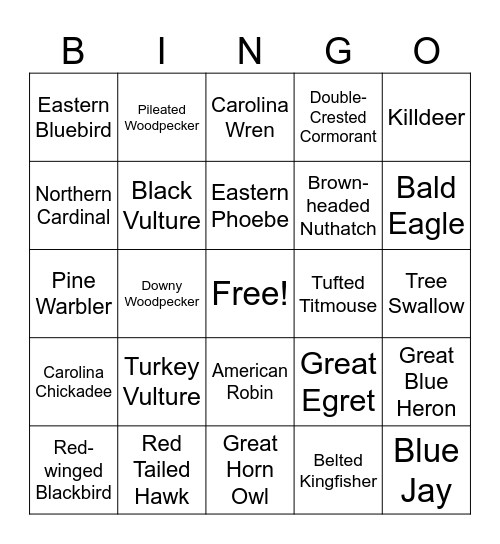 Ornithology Bingo Card